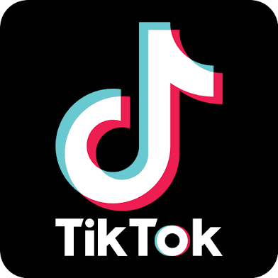 TIK TOK Logo Blank Meme Template