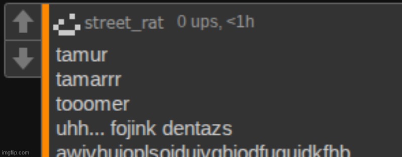 new temp | image tagged in street rat has a f king stroke | made w/ Imgflip meme maker