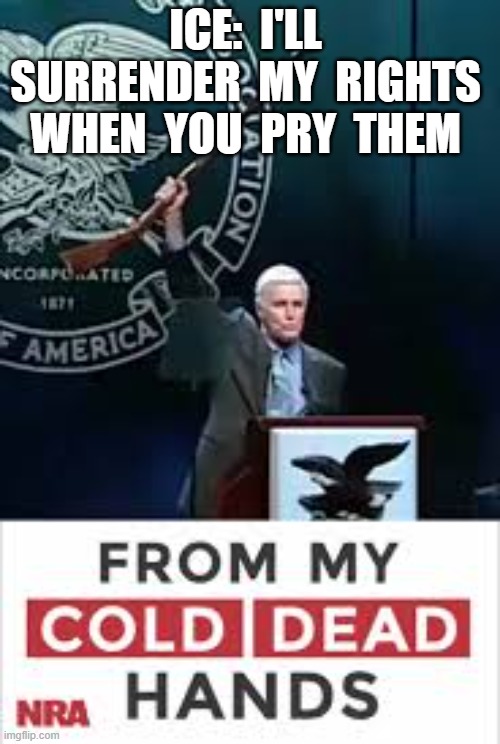 American Defiance | ICE:  I'LL  SURRENDER  MY  RIGHTS  WHEN  YOU  PRY  THEM | image tagged in nra | made w/ Imgflip meme maker