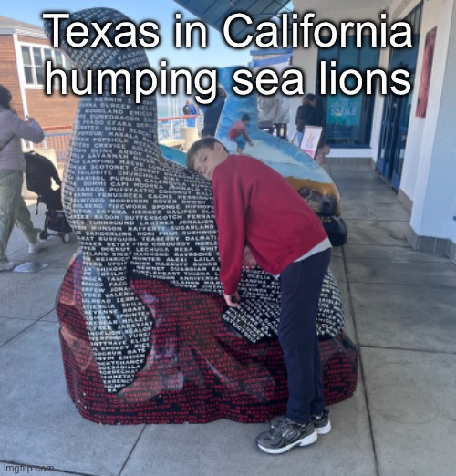 He wanted me to post this (word for word) | Texas in California humping sea lions | made w/ Imgflip meme maker