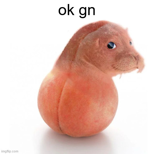 seal ball run | ok gn | image tagged in seal ball run | made w/ Imgflip meme maker