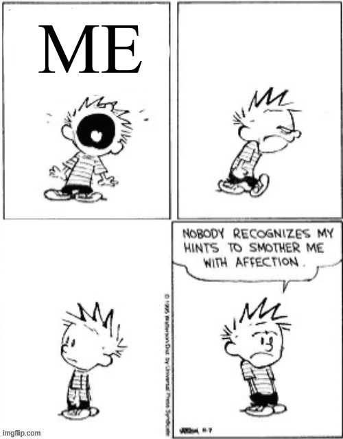 Nobody recognizes my hints to smother me with affection | ME | image tagged in nobody recognizes my hints to smother me with affection | made w/ Imgflip meme maker