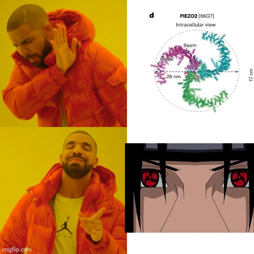 Drake Hotline Bling | image tagged in memes,drake hotline bling | made w/ Imgflip meme maker