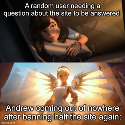Overwatch Mercy Meme | A random user needing a question about the site to be answered; Andrew coming out of nowhere after banning half the site again: | image tagged in overwatch mercy meme,msmg | made w/ Imgflip meme maker