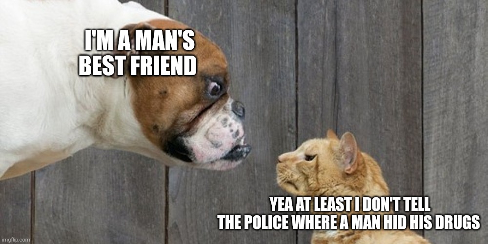 cat got a point | I'M A MAN'S BEST FRIEND; YEA AT LEAST I DON'T TELL THE POLICE WHERE A MAN HID HIS DRUGS | image tagged in dog vs cat | made w/ Imgflip meme maker