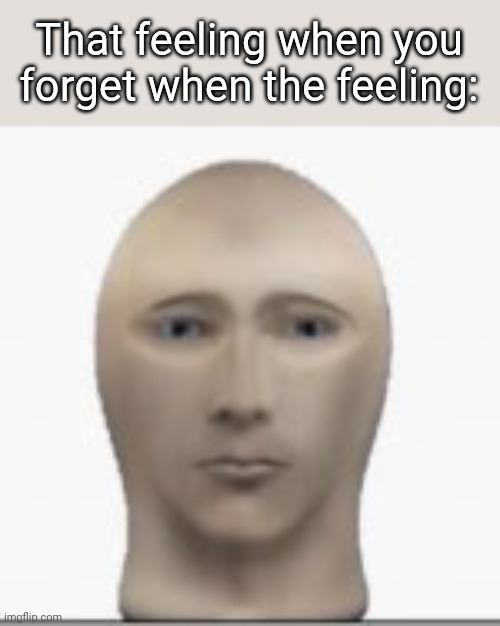 Memoryn't | That feeling when you forget when the feeling: | image tagged in front facing meme man,that feeling when,i forgor,memes | made w/ Imgflip meme maker