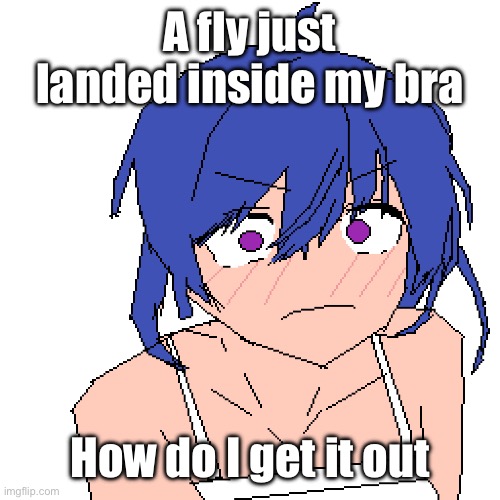 WHAT | A fly just landed inside my bra; How do I get it out | image tagged in what | made w/ Imgflip meme maker