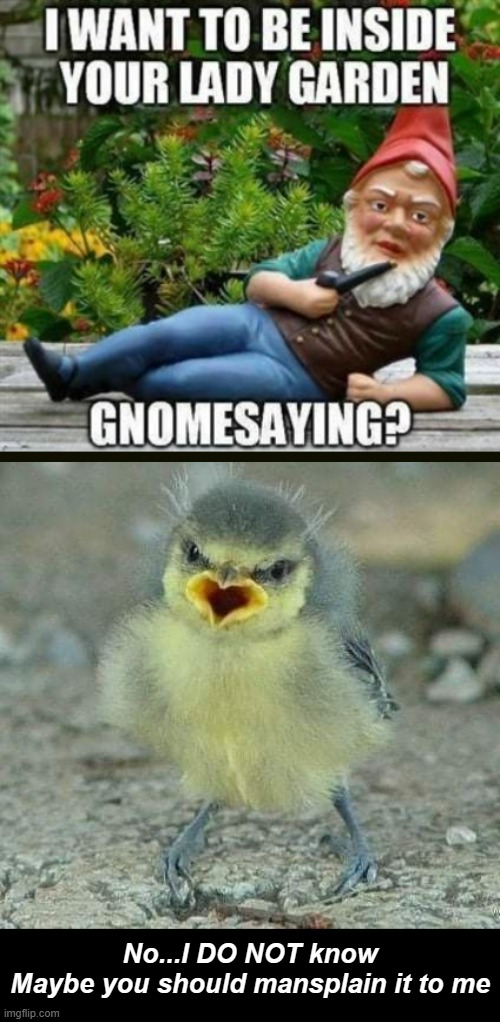 It's gonna be a long weekend...and not in a good way. | No...I DO NOT know
Maybe you should mansplain it to me | image tagged in funny memes,relationships | made w/ Imgflip meme maker