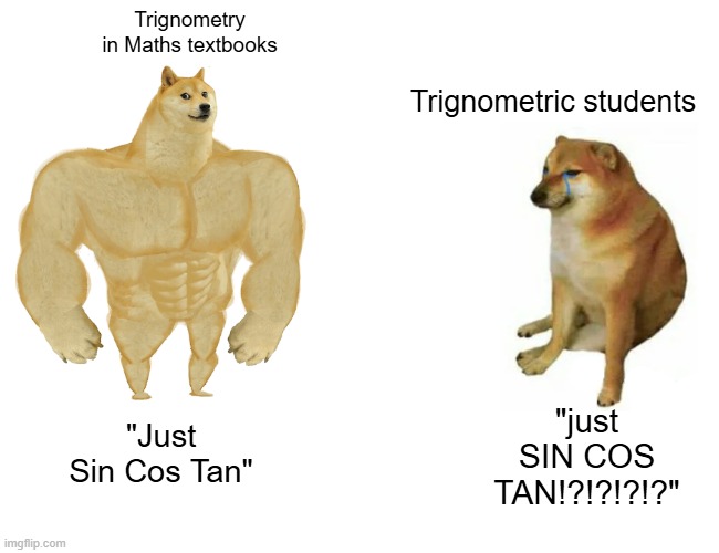 maths | Trignometry in Maths textbooks; Trignometric students; "just SIN COS TAN!?!?!?!?"; "Just Sin Cos Tan" | image tagged in memes,buff doge vs cheems | made w/ Imgflip meme maker