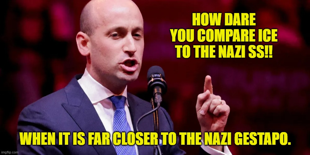 HOW DARE YOU COMPARE ICE TO THE NAZI SS!! WHEN IT IS FAR CLOSER TO THE NAZI GESTAPO. | made w/ Imgflip meme maker