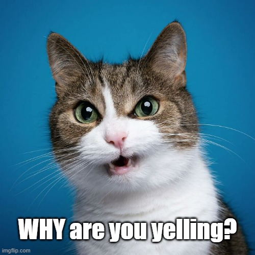 WHY are you yelling? | made w/ Imgflip meme maker