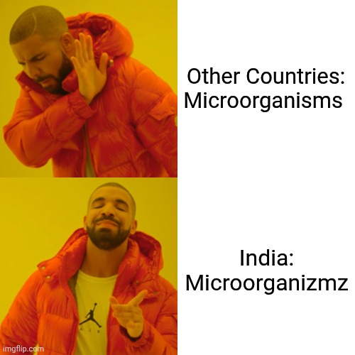 Other countries english vs Indias english??? | Other Countries:

Microorganisms; India:

Microorganizmz | image tagged in memes,drake hotline bling | made w/ Imgflip meme maker
