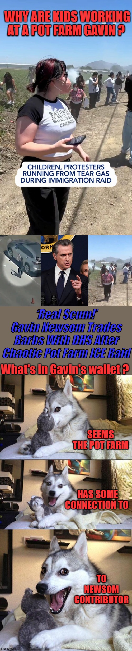 WHY ARE KIDS WORKING AT A POT FARM GAVIN ? ‘Real Scum!’ Gavin Newsom Trades Barbs With DHS After Chaotic Pot Farm ICE Raid; What's in Gavin's wallet ? SEEMS THE POT FARM; HAS SOME CONNECTION TO; TO NEWSOM CONTRIBUTOR | image tagged in memes,bad pun dog | made w/ Imgflip meme maker