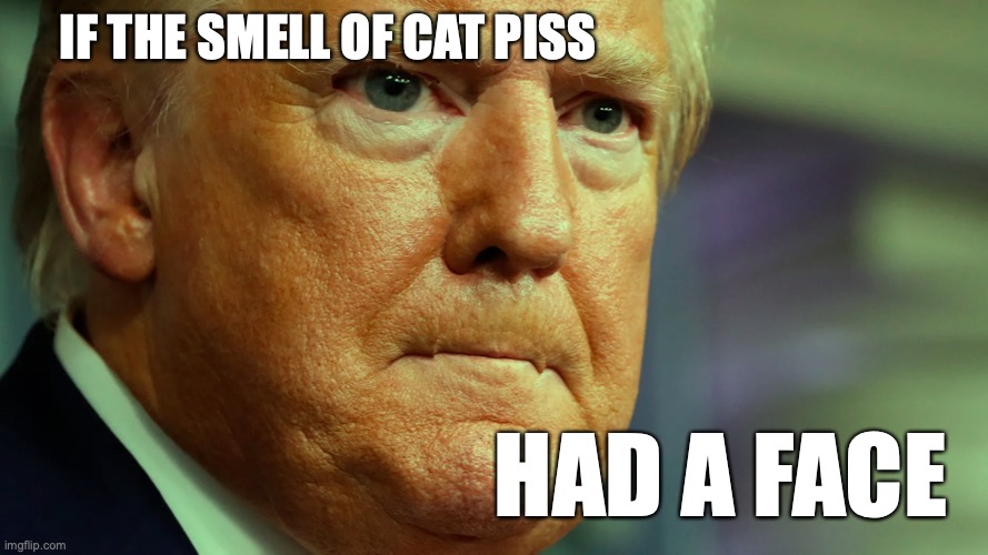 Trump's cat piss face | IF THE SMELL OF CAT PISS; HAD A FACE | image tagged in donald trump,right wing,maga,republicans,conservatives,president | made w/ Imgflip meme maker