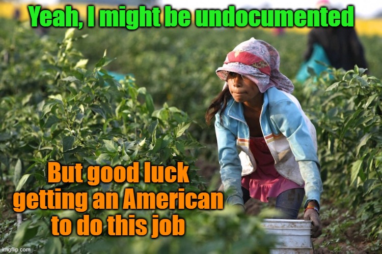 American teens used to do those jobs, these days they're too lazy and entitled to be pulled away from the XBOX | Yeah, I might be undocumented; But good luck getting an American to do this job | image tagged in immigrants,farming,teens,work life | made w/ Imgflip meme maker