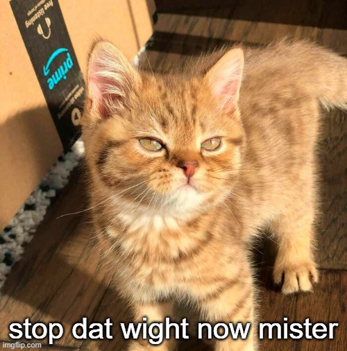 stop dat wight now mister | made w/ Imgflip meme maker