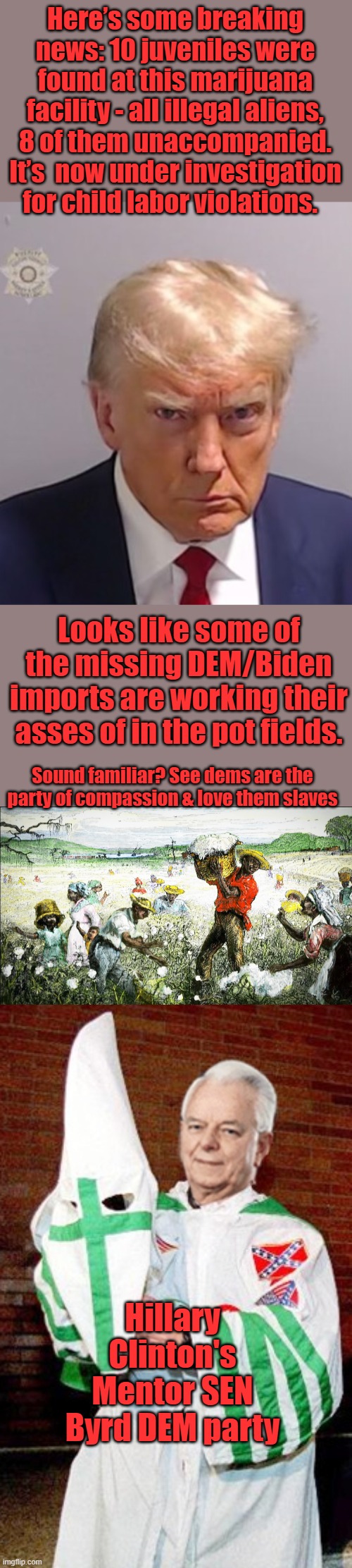 Why you think DEMs & MSM are so angry? They got caught & finally are being exposed, they are terrified. | Here’s some breaking news: 10 juveniles were found at this marijuana facility - all illegal aliens, 8 of them unaccompanied. It’s  now under investigation for child labor violations. Looks like some of the missing DEM/Biden imports are working their asses of in the pot fields. Sound familiar? See dems are the party of compassion & love them slaves; Hillary Clinton's Mentor SEN Byrd DEM party | image tagged in donald trump mugshot | made w/ Imgflip meme maker