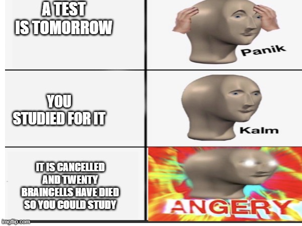 A TEST IS TOMORROW; YOU STUDIED FOR IT; IT IS CANCELLED AND TWENTY BRAINCELLS HAVE DIED SO YOU COULD STUDY | image tagged in panik kalm angery | made w/ Imgflip meme maker