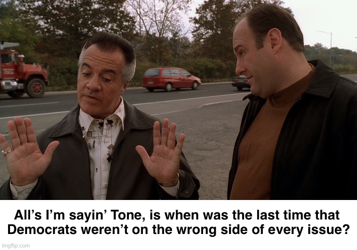 My memory doesn’t go back that far | All’s I’m sayin’ Tone, is when was the last time that 

Democrats weren’t on the wrong side of every issue? | image tagged in paulie talks with the italian hands to tony soprano | made w/ Imgflip meme maker