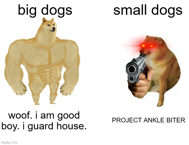 Buff Doge vs. Cheems Meme | big dogs; small dogs; woof. i am good boy. i guard house. PROJECT ANKLE BITER | image tagged in memes,buff doge vs cheems | made w/ Imgflip meme maker