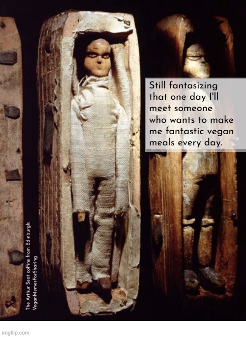 Indeed | image tagged in vegan,veganism,plant-based,dating,cook | made w/ Imgflip meme maker