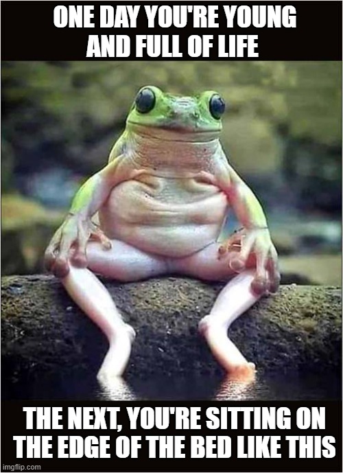 Life Can Creep Up On You | ONE DAY YOU'RE YOUNG
AND FULL OF LIFE; THE NEXT, YOU'RE SITTING ON
 THE EDGE OF THE BED LIKE THIS | image tagged in frogs,life,creeping up | made w/ Imgflip meme maker