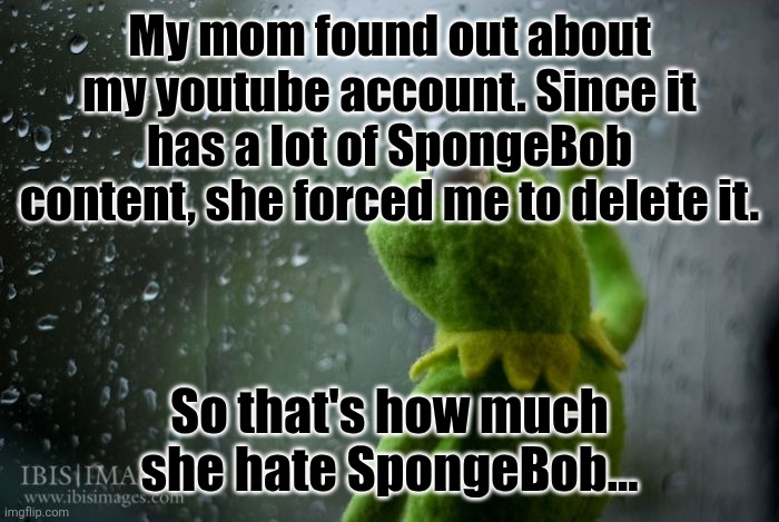She even threaten me to kill myself, and do it in front of my 4 siblings. That just shows | My mom found out about my youtube account. Since it has a lot of SpongeBob content, she forced me to delete it. So that's how much she hate SpongeBob... | image tagged in kermit window | made w/ Imgflip meme maker