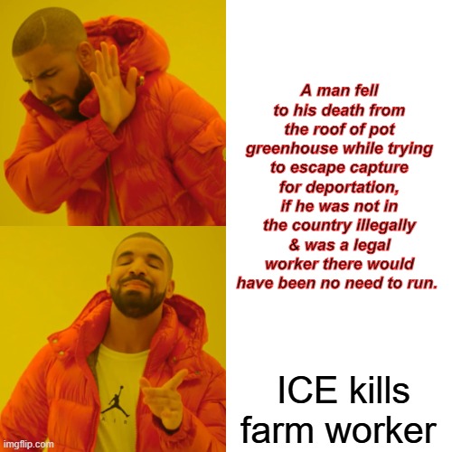 The truth will set you free | A man fell to his death from the roof of pot greenhouse while trying to escape capture for deportation, if he was not in the country illegally & was a legal worker there would have been no need to run. ICE kills farm worker | image tagged in memes,drake hotline bling | made w/ Imgflip meme maker