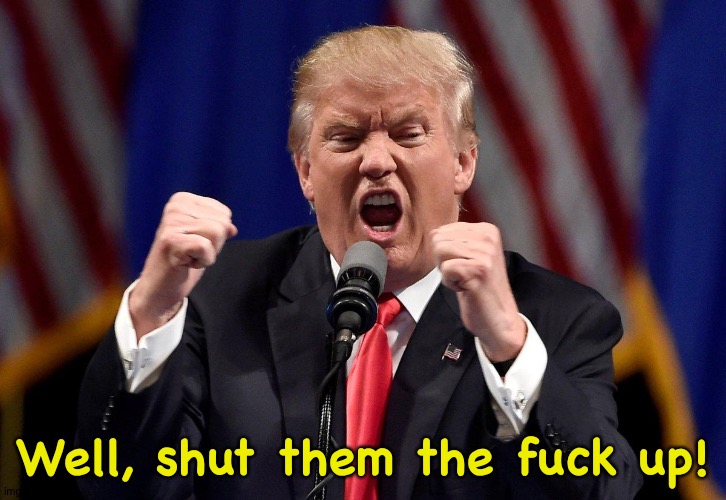Angry Donald Trump  | Well, shut them the fuck up! | image tagged in angry donald trump | made w/ Imgflip meme maker