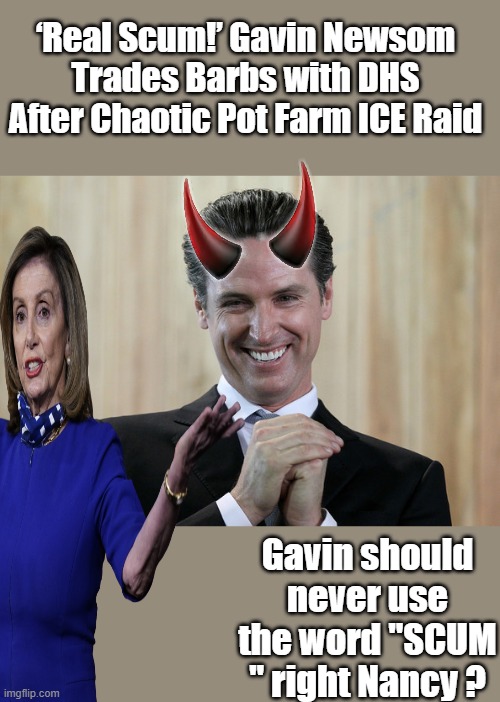 Really Gavin ? | ‘Real Scum!’ Gavin Newsom Trades Barbs with DHS After Chaotic Pot Farm ICE Raid; Gavin should never use the word "SCUM " right Nancy ? | image tagged in scheming gavin newsom | made w/ Imgflip meme maker