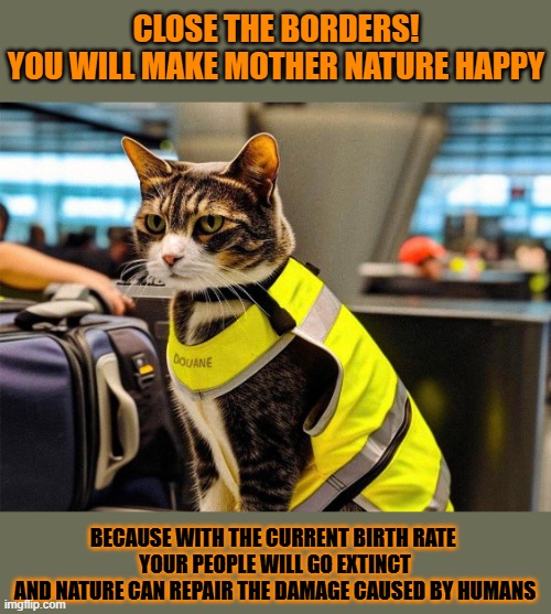 This #lolcat wonders if it's smart to close the borders | CLOSE THE BORDERS!
YOU WILL MAKE MOTHER NATURE HAPPY; BECAUSE WITH THE CURRENT BIRTH RATE 
YOUR PEOPLE WILL GO EXTINCT

AND NATURE CAN REPAIR THE DAMAGE CAUSED BY HUMANS | image tagged in secure the border,racism,lolcat,stupid people | made w/ Imgflip meme maker