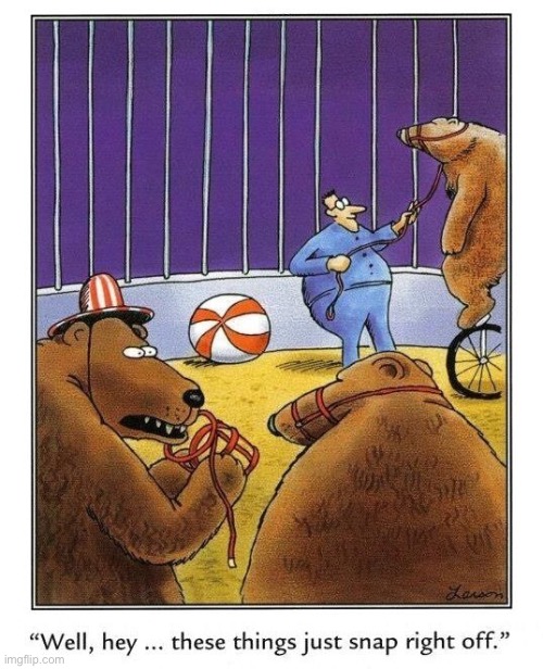 The Far Side | image tagged in comics,the far side,circus,bears | made w/ Imgflip meme maker