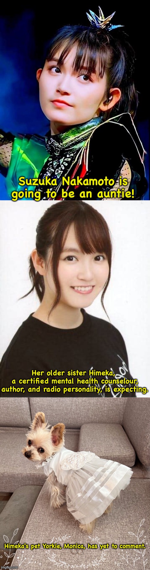 Babymetal News | Suzuka Nakamoto is going to be an auntie! Her older sister Himeka, 
a certified mental health counselour,

author, and radio personality, is expecting. Himeka's pet Yorkie, Monica, has yet to comment. | image tagged in su-metal,himeka nakamoto,monica the yorkie,babymetal | made w/ Imgflip meme maker