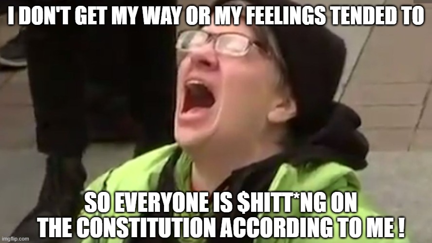 Screaming Liberal  | I DON'T GET MY WAY OR MY FEELINGS TENDED TO SO EVERYONE IS $HITT*NG ON THE CONSTITUTION ACCORDING TO ME ! | image tagged in screaming liberal | made w/ Imgflip meme maker
