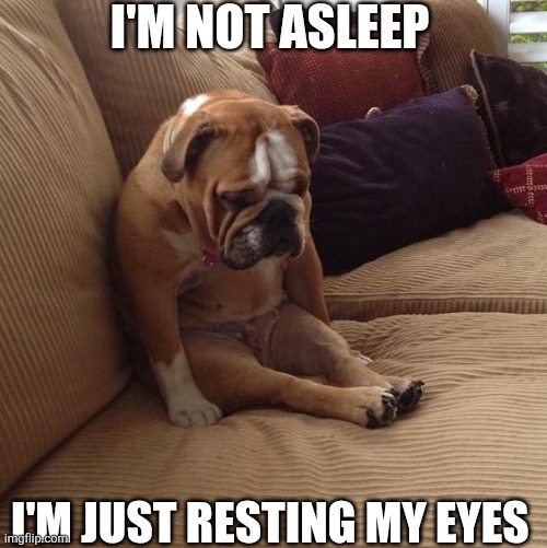 I'm Not Asleep I'm Just Resting My Eyes | I'M NOT ASLEEP; I'M JUST RESTING MY EYES | image tagged in bulldogsad | made w/ Imgflip meme maker