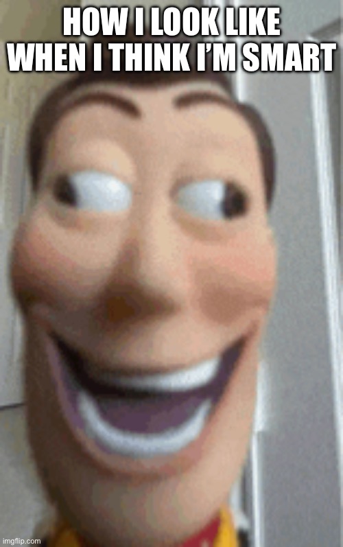 HOW I LOOK LIKE WHEN I THINK I’M SMART | image tagged in woody | made w/ Imgflip meme maker