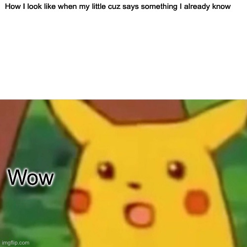 Surprised Pikachu Meme | How I look like when my little cuz says something I already know; Wow | image tagged in memes,surprised pikachu | made w/ Imgflip meme maker