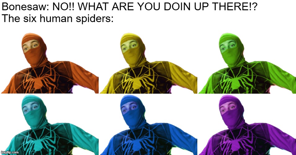 the six human spiders | Bonesaw: NO!! WHAT ARE YOU DOIN UP THERE!?
The six human spiders: | image tagged in spiderman,tobey maguire,the human spider | made w/ Imgflip meme maker
