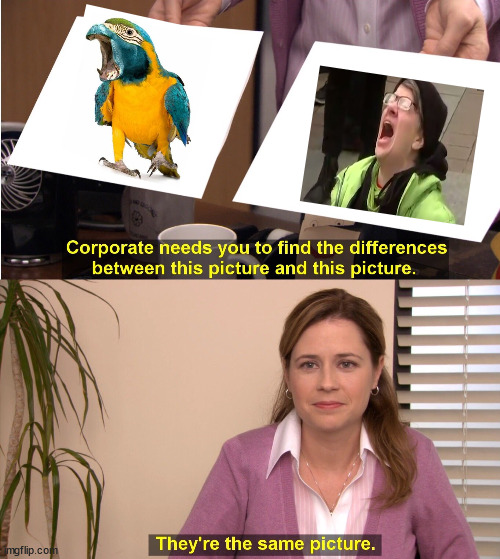 Screaming Parrot | image tagged in memes,they're the same picture,liberal protestors,activists | made w/ Imgflip meme maker