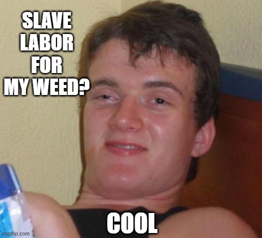 10 Guy Meme | SLAVE LABOR FOR MY WEED? COOL | image tagged in memes,10 guy | made w/ Imgflip meme maker