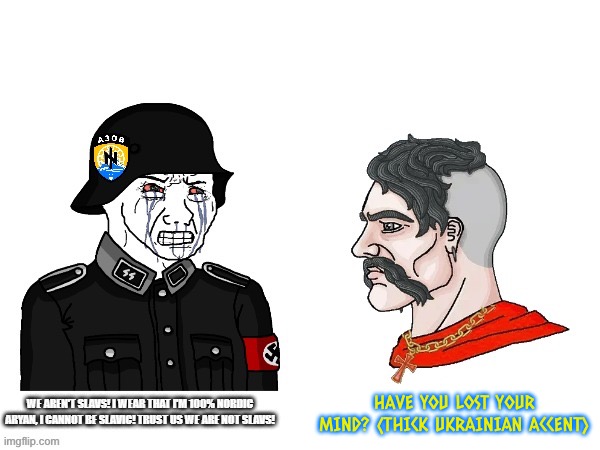 Got that line from cars 2 | HAVE YOU LOST YOUR MIND? (THICK UKRAINIAN ACCENT) | made w/ Imgflip meme maker