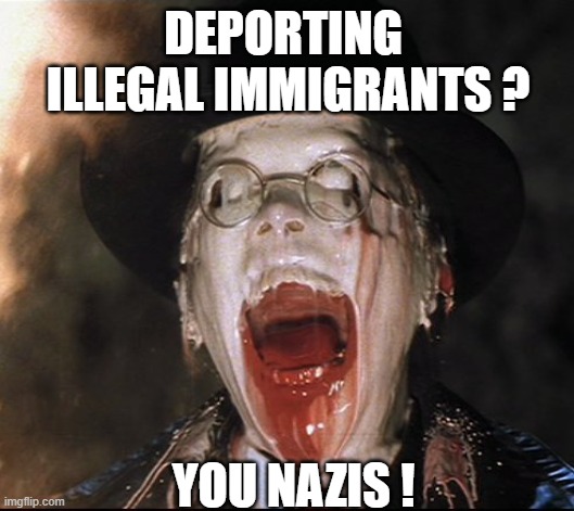 Melting Nazi | DEPORTING 
ILLEGAL IMMIGRANTS ? YOU NAZIS ! | image tagged in melting nazi | made w/ Imgflip meme maker