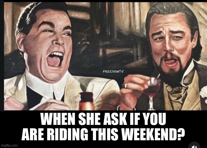 Motorcycle | WHEN SHE ASK IF YOU ARE RIDING THIS WEEKEND? | image tagged in harley davidson | made w/ Imgflip meme maker