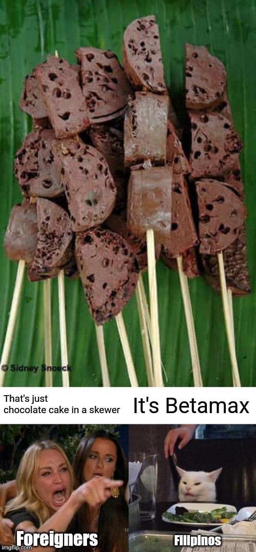Betamax looks like chocolate cake in skewers | That's just chocolate cake in a skewer; It's Betamax; Foreigners; Filipinos | image tagged in memes,woman yelling at cat,food,philippines,culture,asian | made w/ Imgflip meme maker