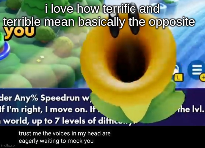 trust me the voices in my head are eagerly waiting to mock you | i love how terrific and terrible mean basically the opposite | image tagged in trust me the voices in my head are eagerly waiting to mock you | made w/ Imgflip meme maker