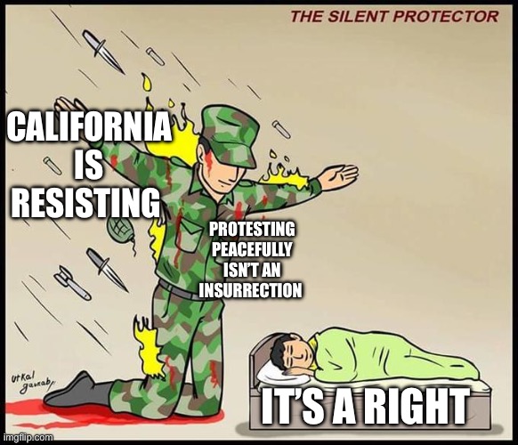Truth not seen on fox | CALIFORNIA IS RESISTING; PROTESTING PEACEFULLY ISN’T AN INSURRECTION; IT’S A RIGHT | image tagged in the silent protector | made w/ Imgflip meme maker