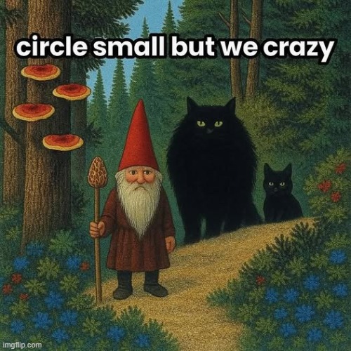 The silly goose council has elected to chose you for a great adventure! | image tagged in memez,gnome | made w/ Imgflip meme maker