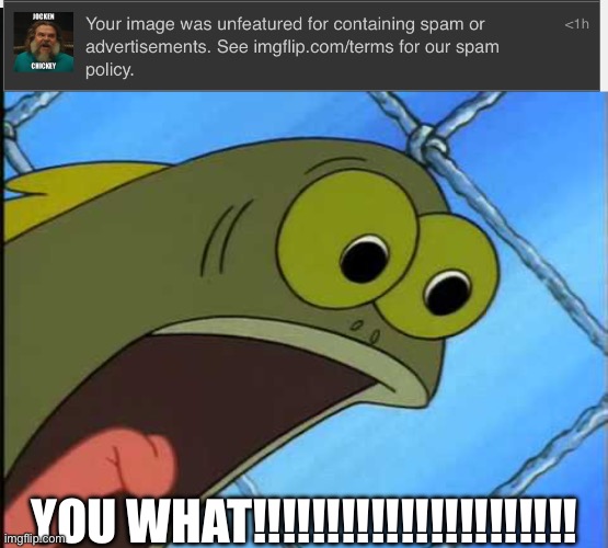 HOW IS THAT A FEATURE??? | YOU WHAT!!!!!!!!!!!!!!!!!!!!!! | image tagged in you what,chicken jockey,what the heck,oh no you didn't | made w/ Imgflip meme maker