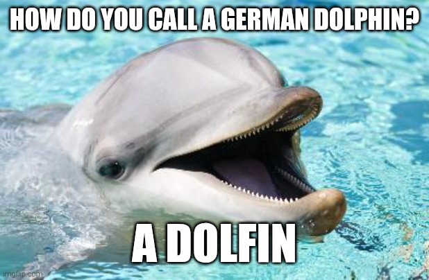 Dumb Joke Dolphin | HOW DO YOU CALL A GERMAN DOLPHIN? A DOLFIN | image tagged in dumb joke dolphin | made w/ Imgflip meme maker