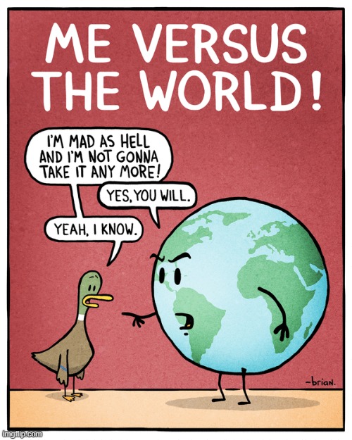 Fowl Language | image tagged in comics | made w/ Imgflip meme maker